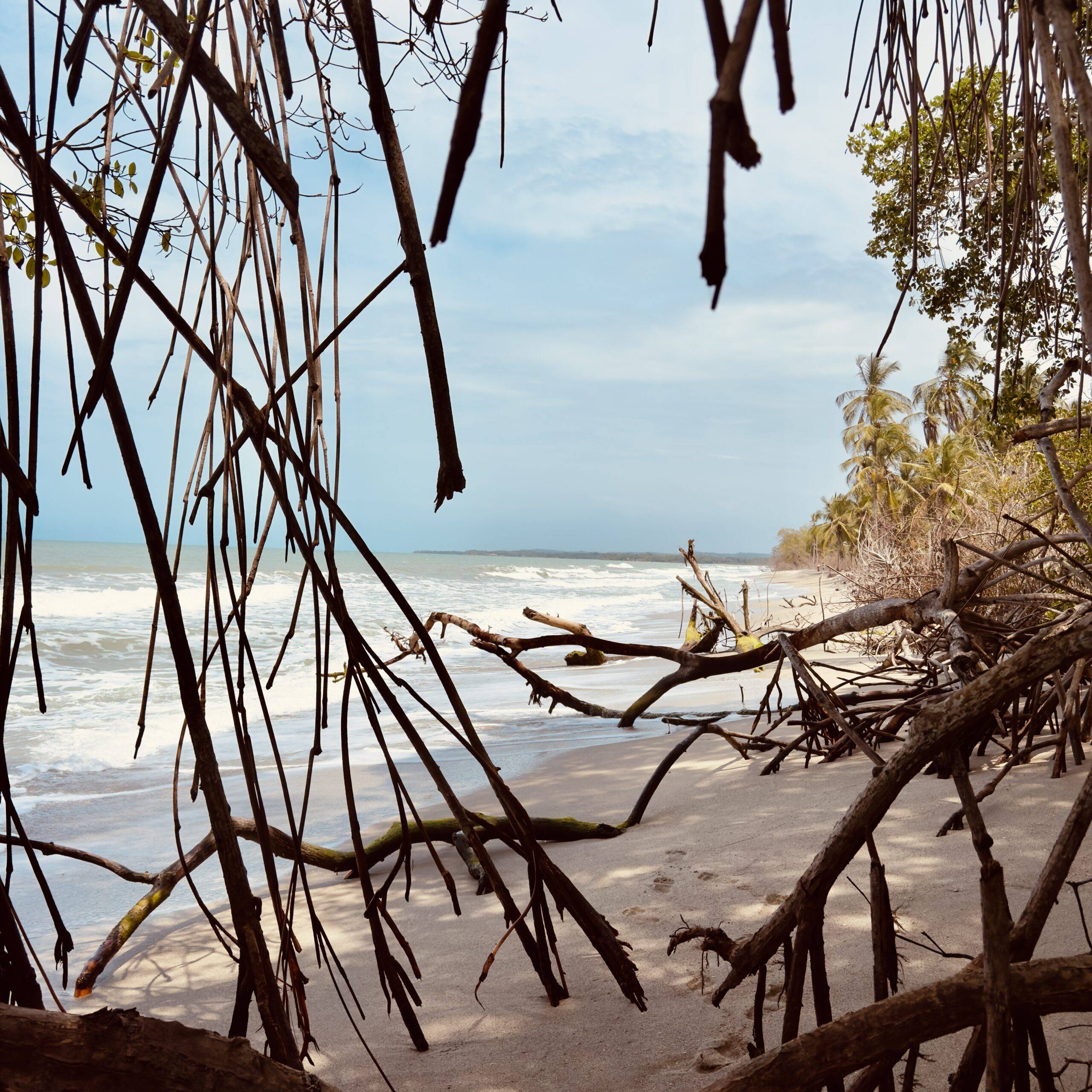 Palomino beaches