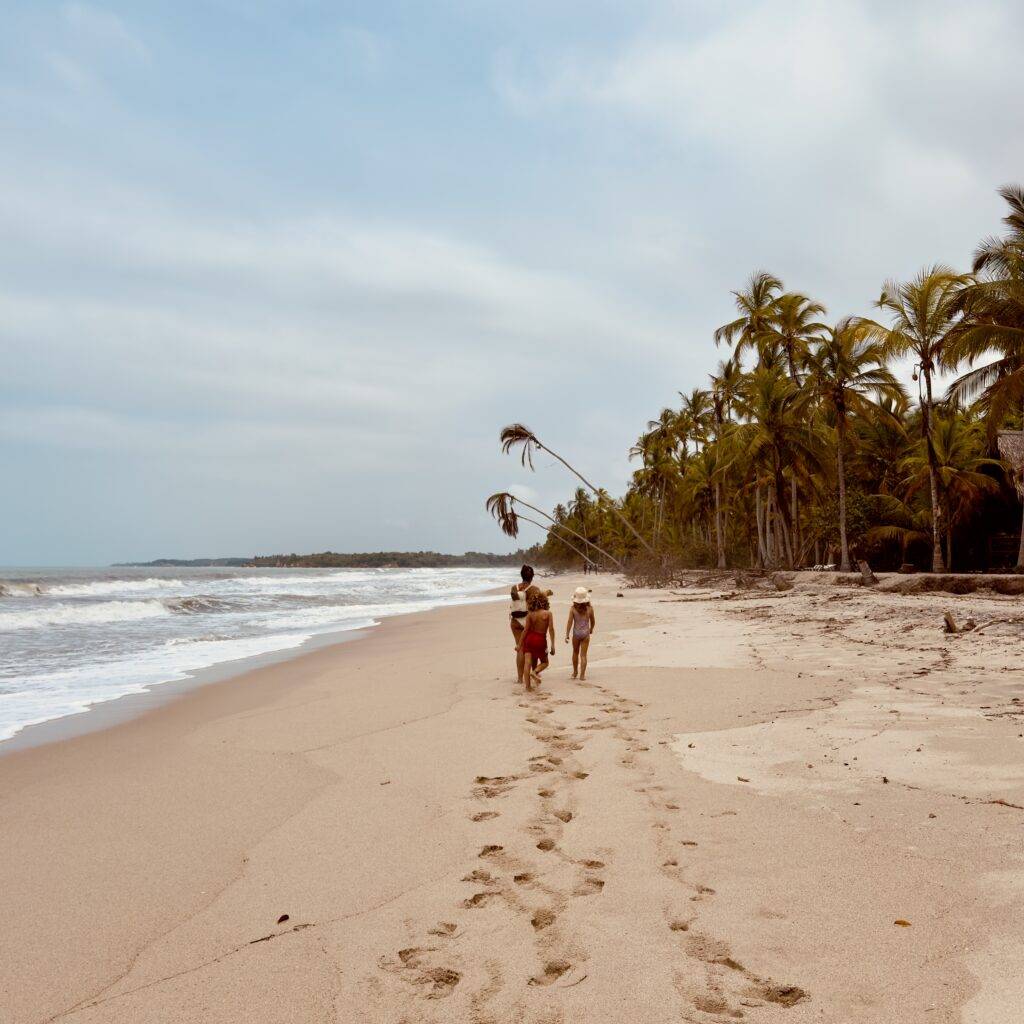 palomino beaches