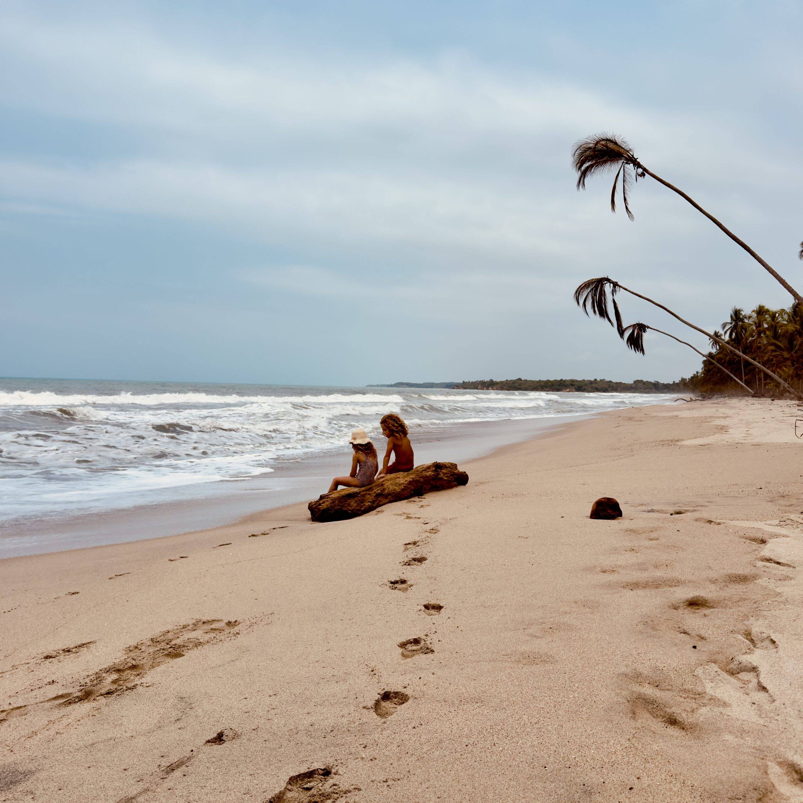 Palomino beach paradise