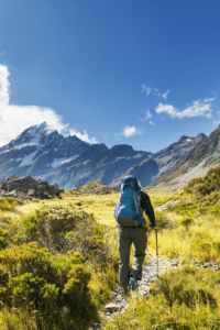 new zealand with kids