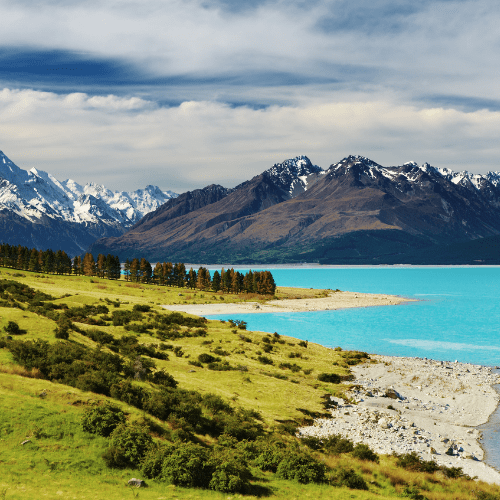 new zealand with kids