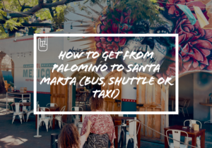 How to Get from Palomino to Santa Marta